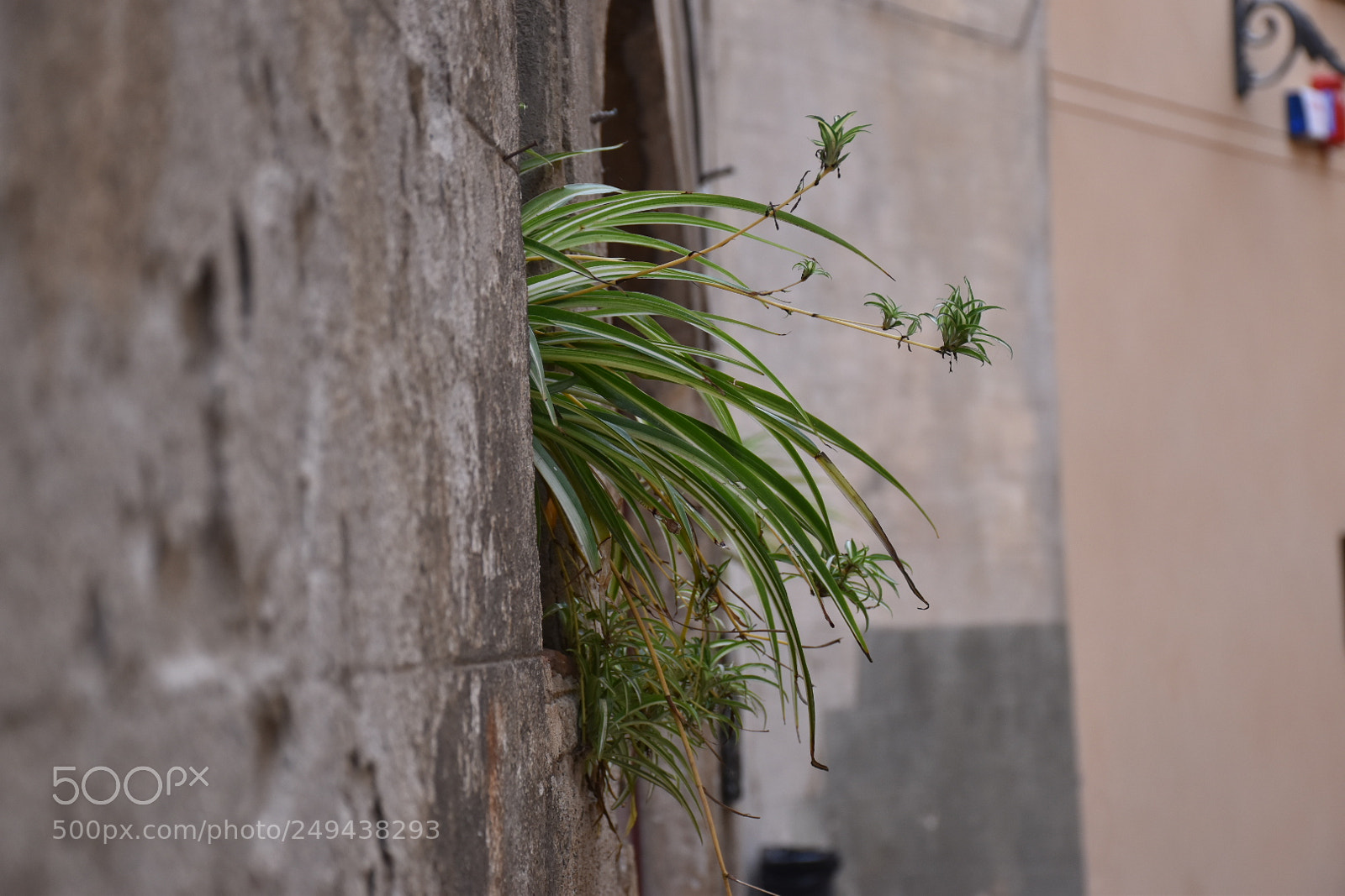 Nikon D5600 sample photo. Untitled photography