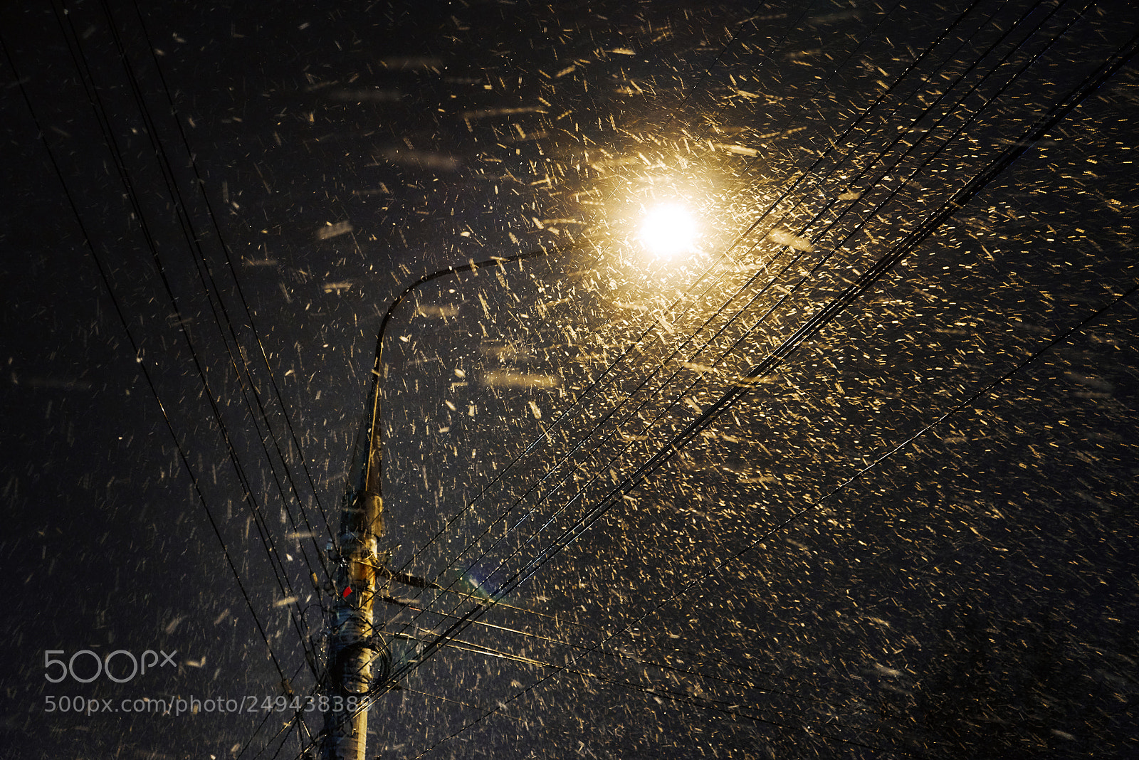 Sony a7R sample photo. March snowfall photography