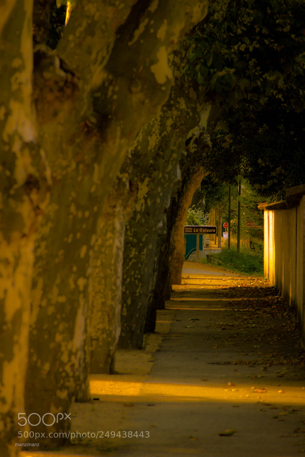 Canon EOS 600D (Rebel EOS T3i / EOS Kiss X5) sample photo. Morning summer light photography