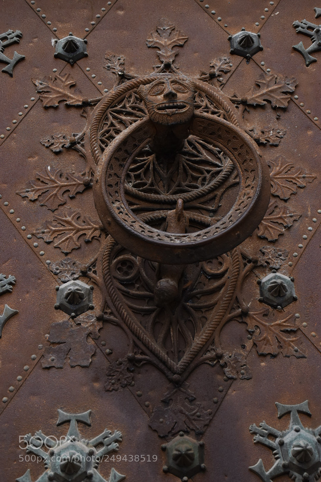 Nikon D5600 sample photo. Untitled photography