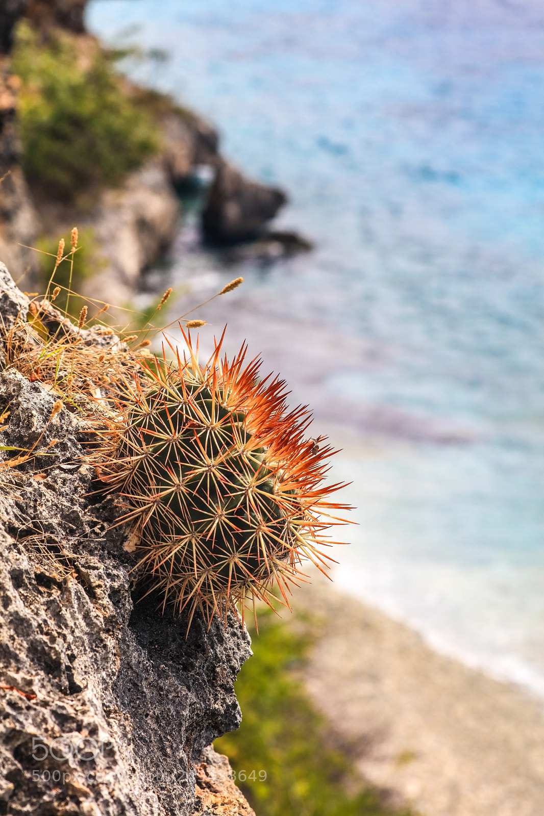 Canon EOS 5DS R sample photo. 171a8171-52.jpg photography
