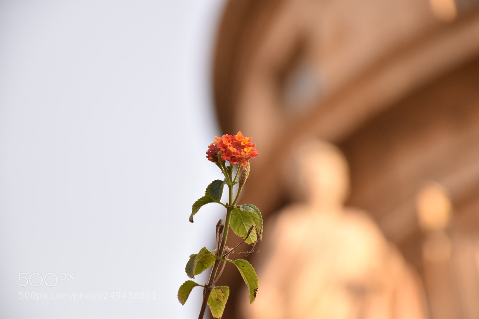 Nikon D5600 sample photo. Untitled photography