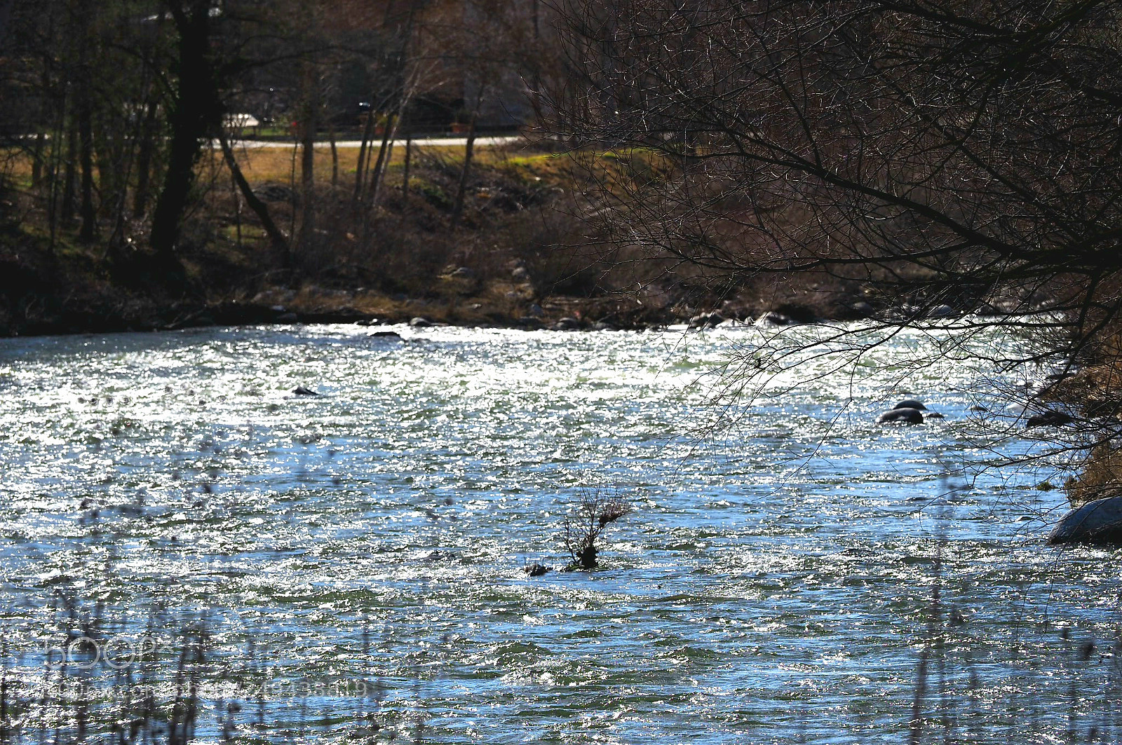 Olympus OM-D E-M1 Mark II sample photo. Untitled photography