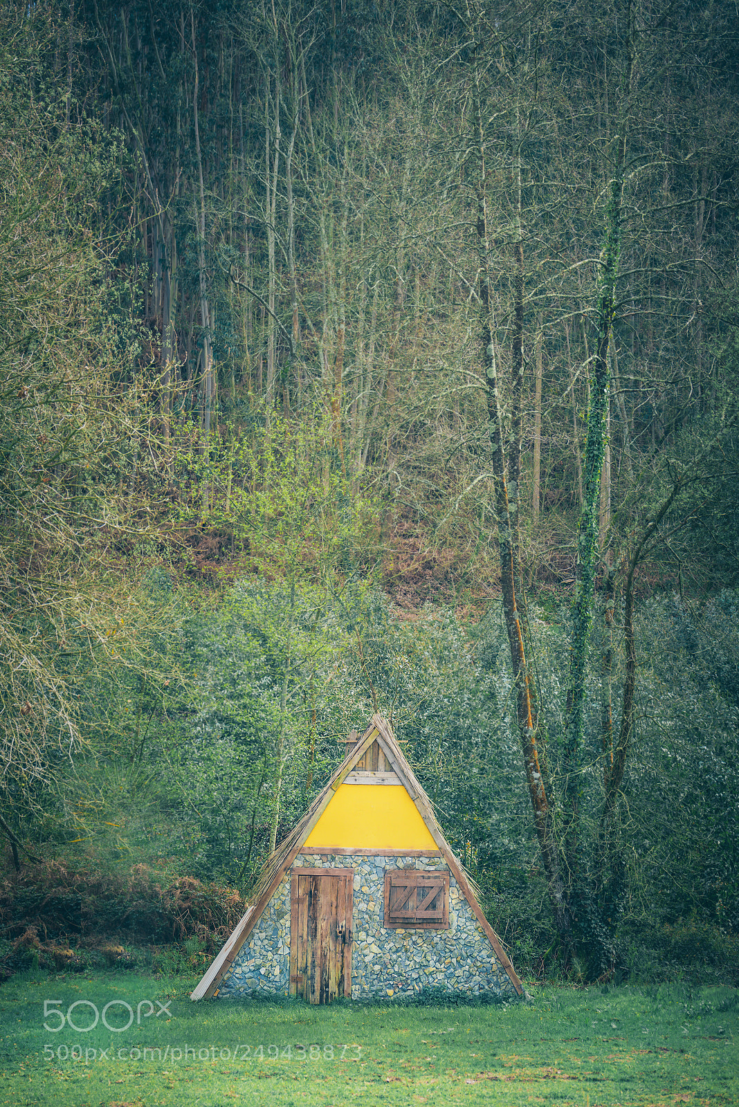 Nikon D610 sample photo. Nature is my home photography
