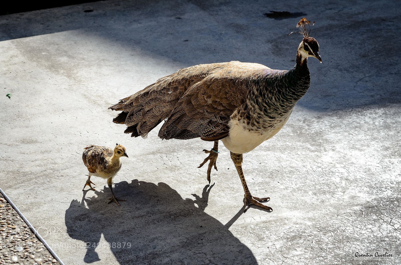 Nikon D7000 sample photo. Parenting photography