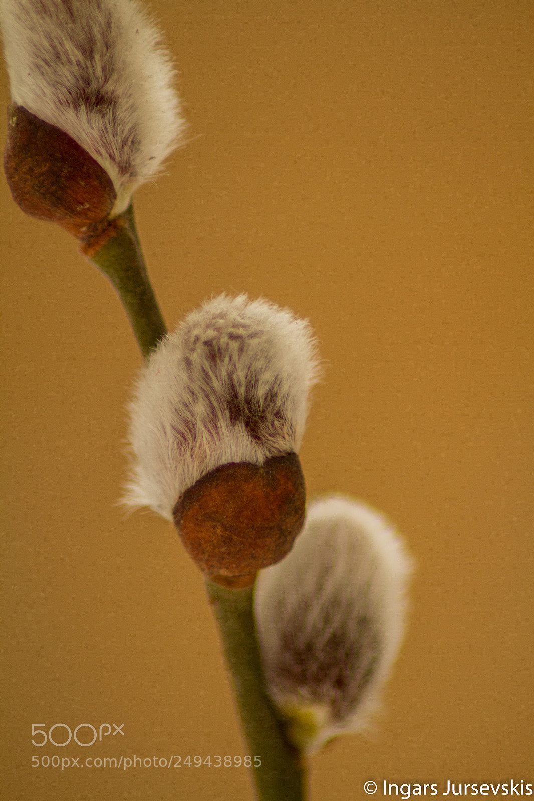 Canon EOS 7D sample photo. Untitled photography