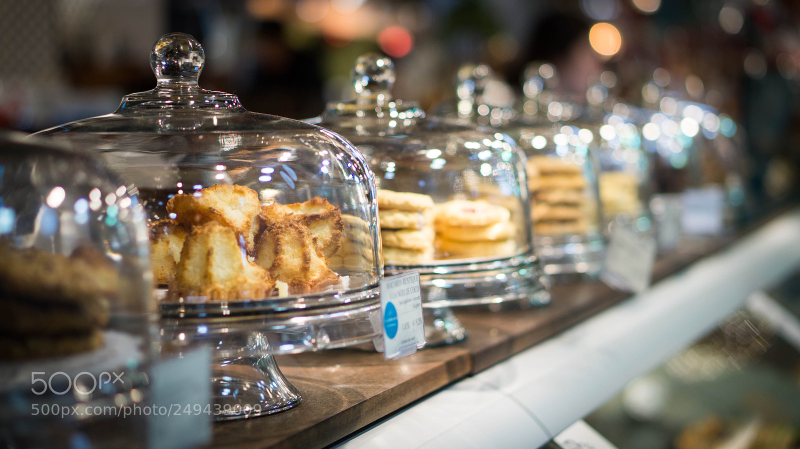 Sony Alpha a3500 sample photo. Montreal photography