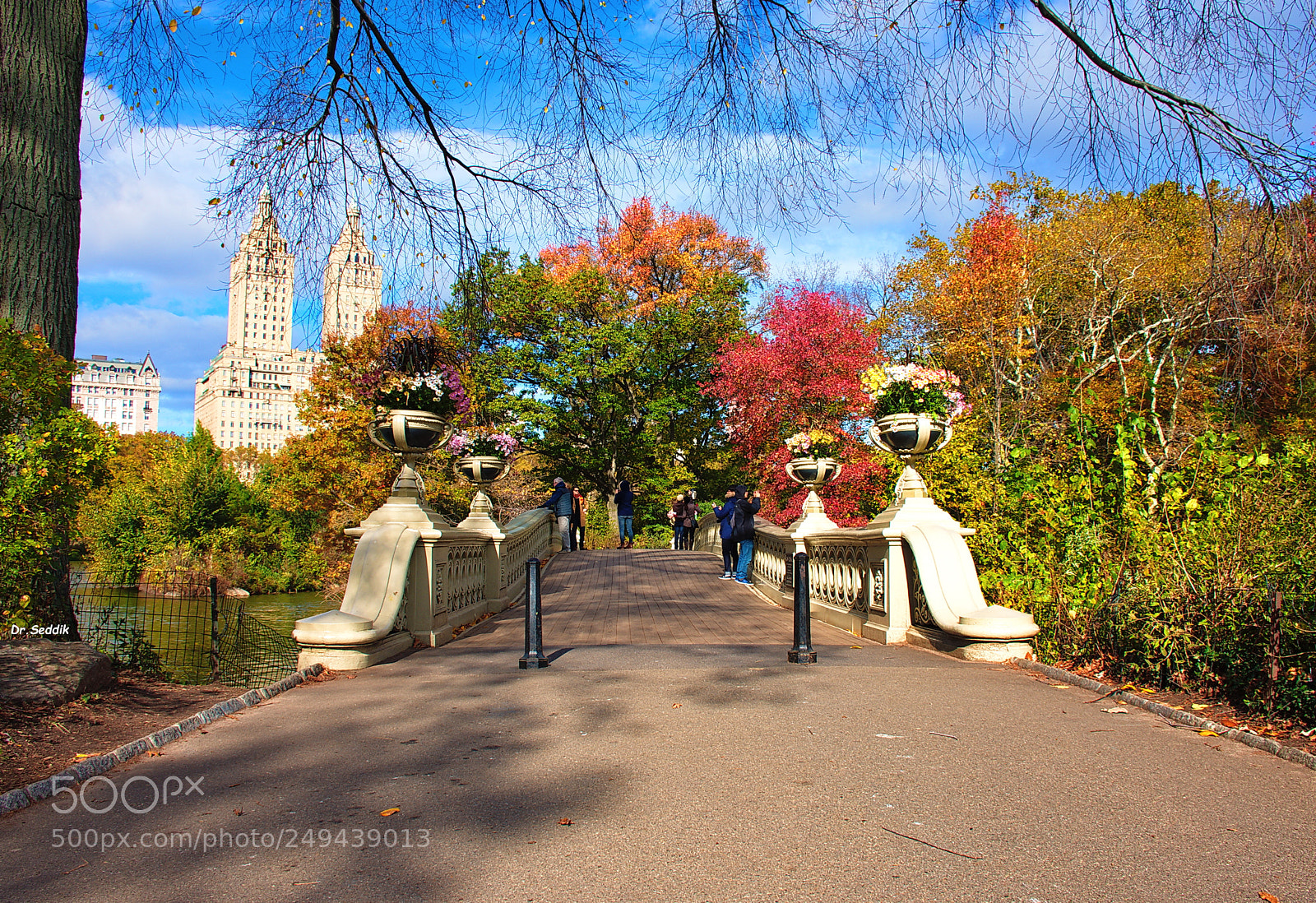 Nikon D7200 sample photo. The central park photography