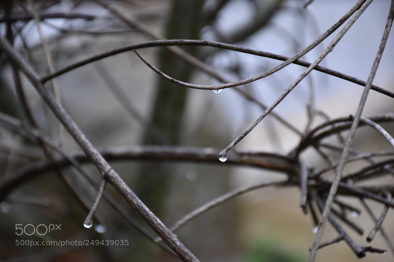 Nikon D5600 sample photo. Untitled photography