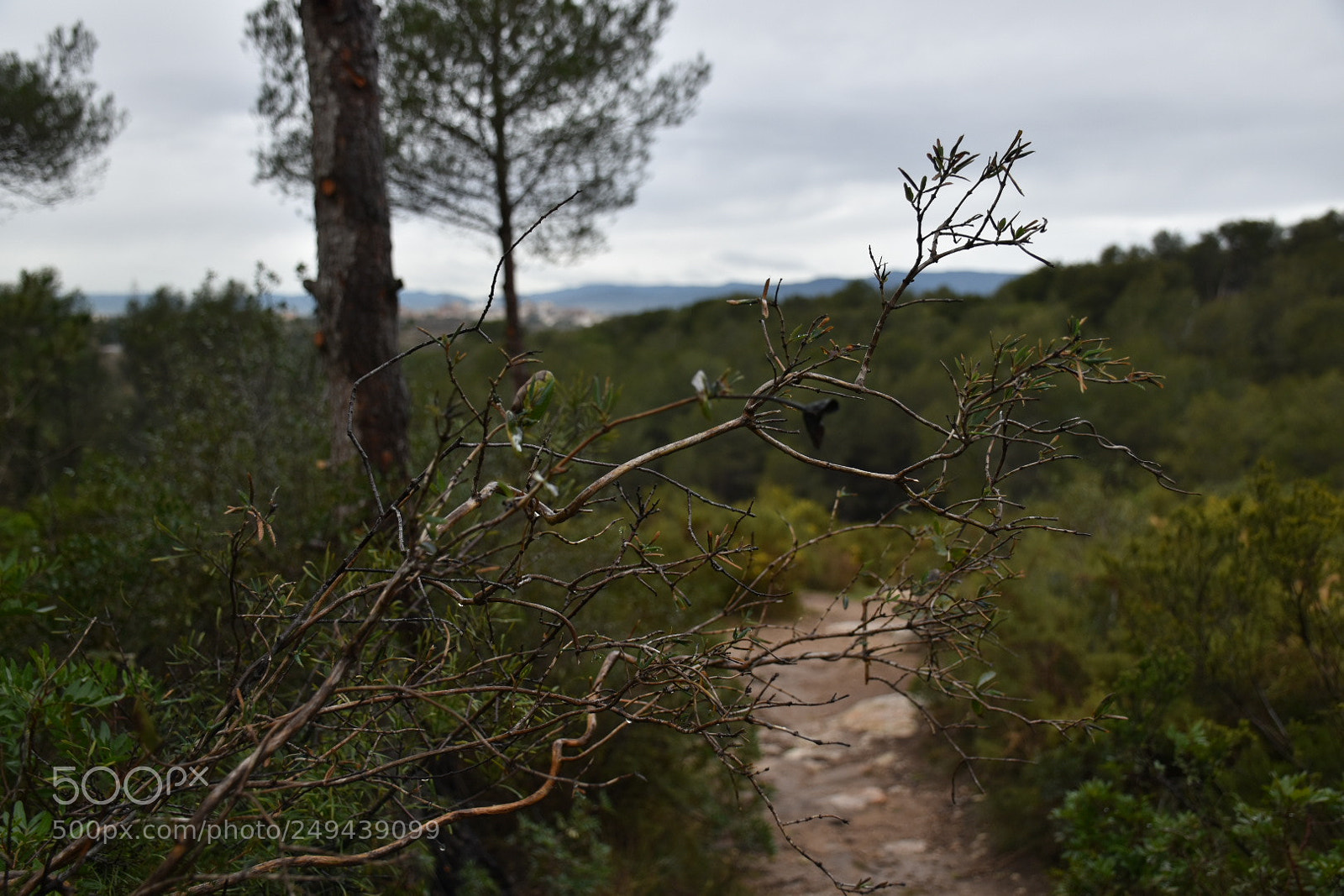 Nikon D5600 sample photo. Untitled photography