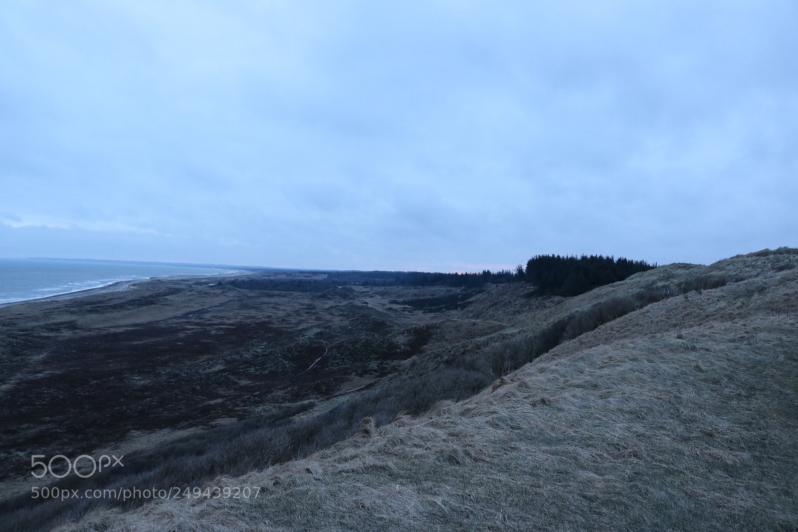 Canon EOS 750D (EOS Rebel T6i / EOS Kiss X8i) sample photo. Nature of denmark photography