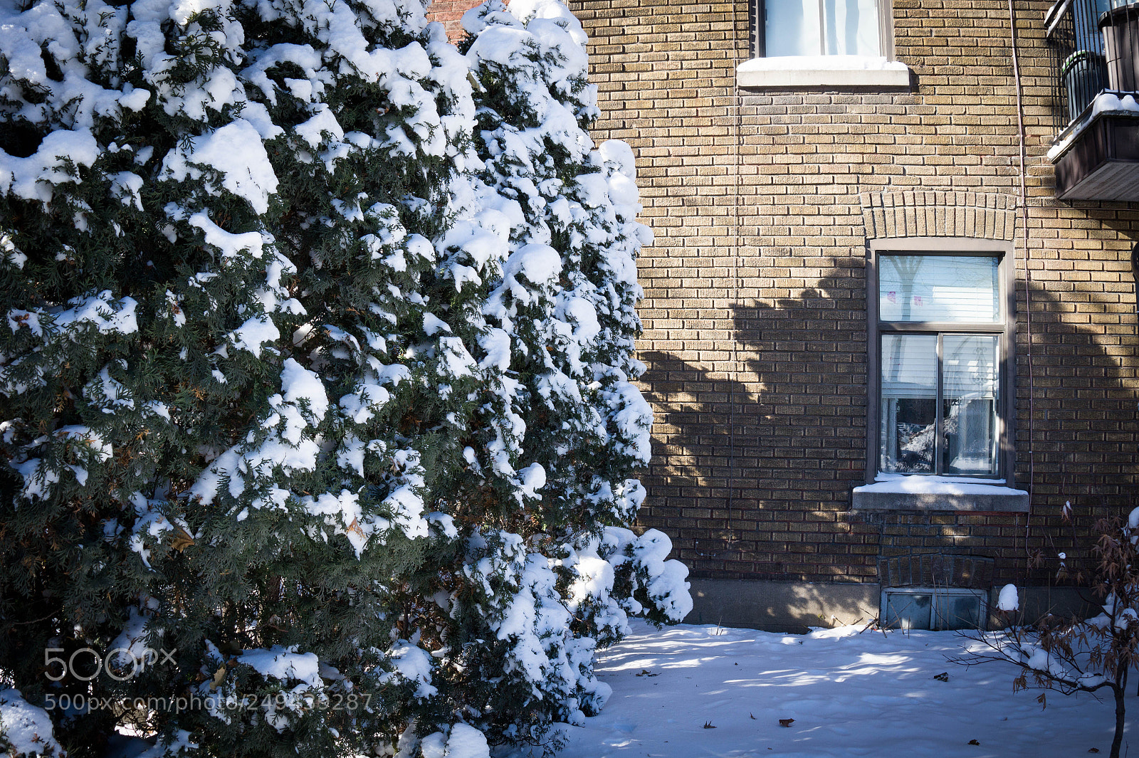 Sony Alpha a3500 sample photo. Montreal photography