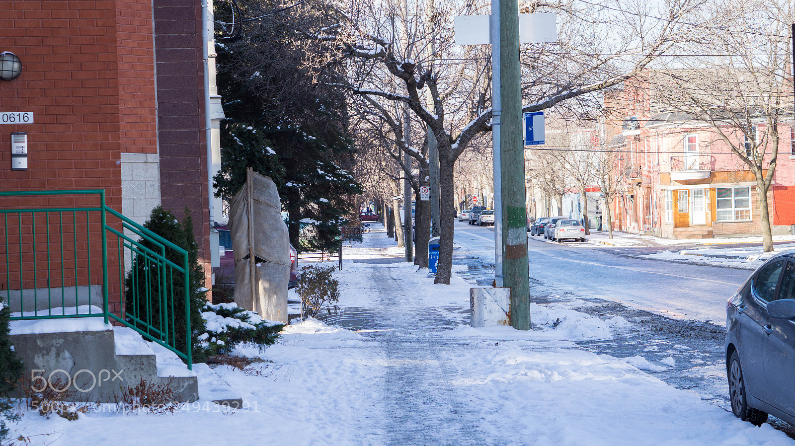 Sony Alpha a3500 sample photo. Montreal photography