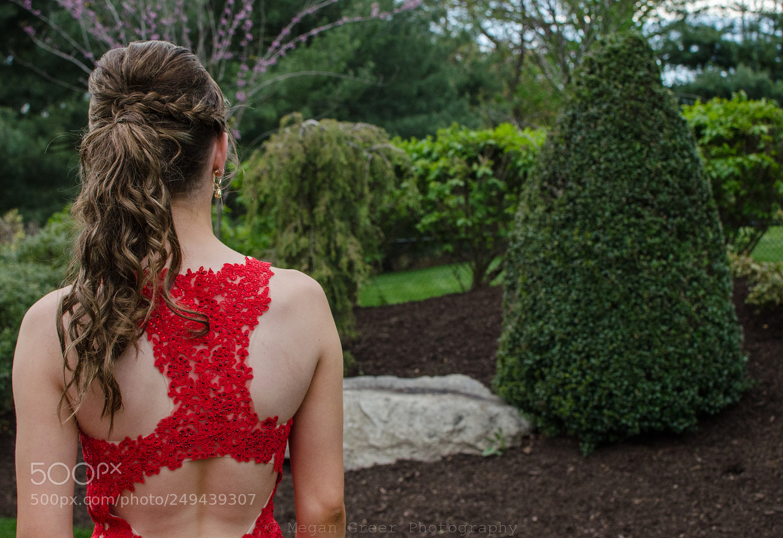 Nikon D5100 sample photo. Untitled photography