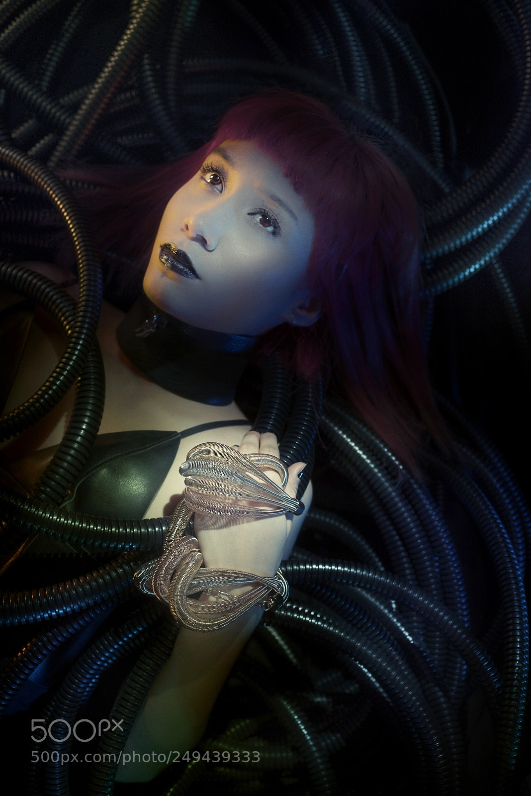 Nikon D800 sample photo. Beauty in the shell photography