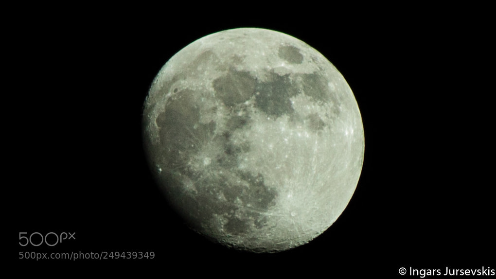 Canon EOS 7D sample photo. Untitled photography