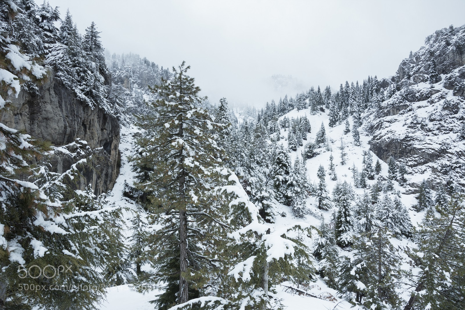 Nikon D7100 sample photo. Snowy photography
