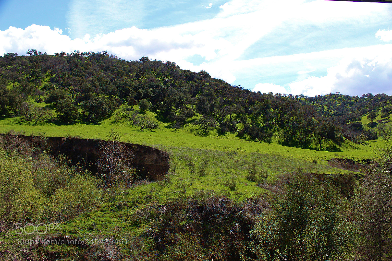 Canon EOS 1300D (EOS Rebel T6 / EOS Kiss X80) sample photo. Grassy meadow photography