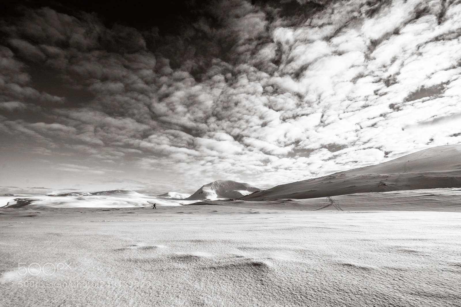 Fujifilm X-T2 sample photo. Lone walker in snowshoes photography