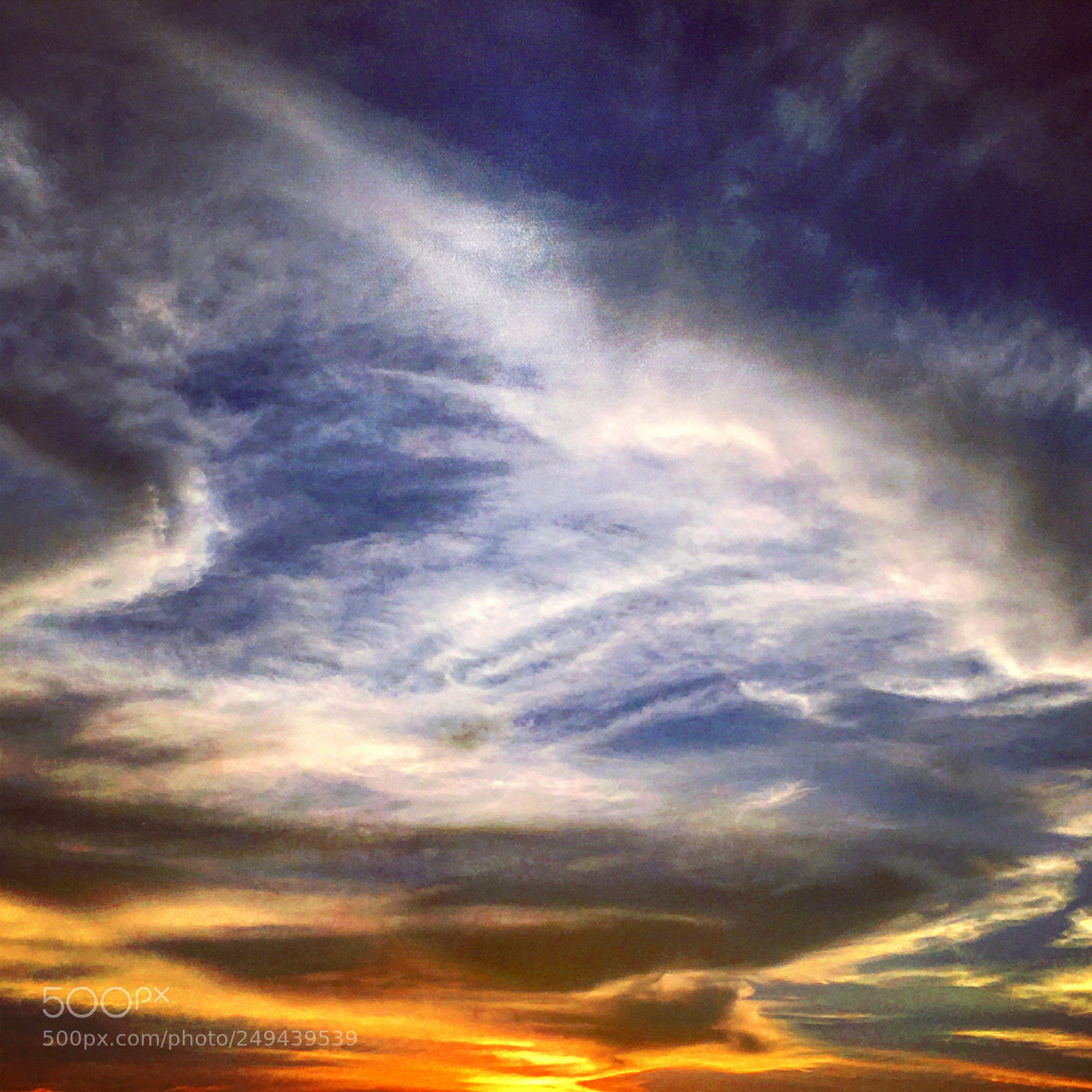 Apple iPhone SE sample photo. Untitled photography