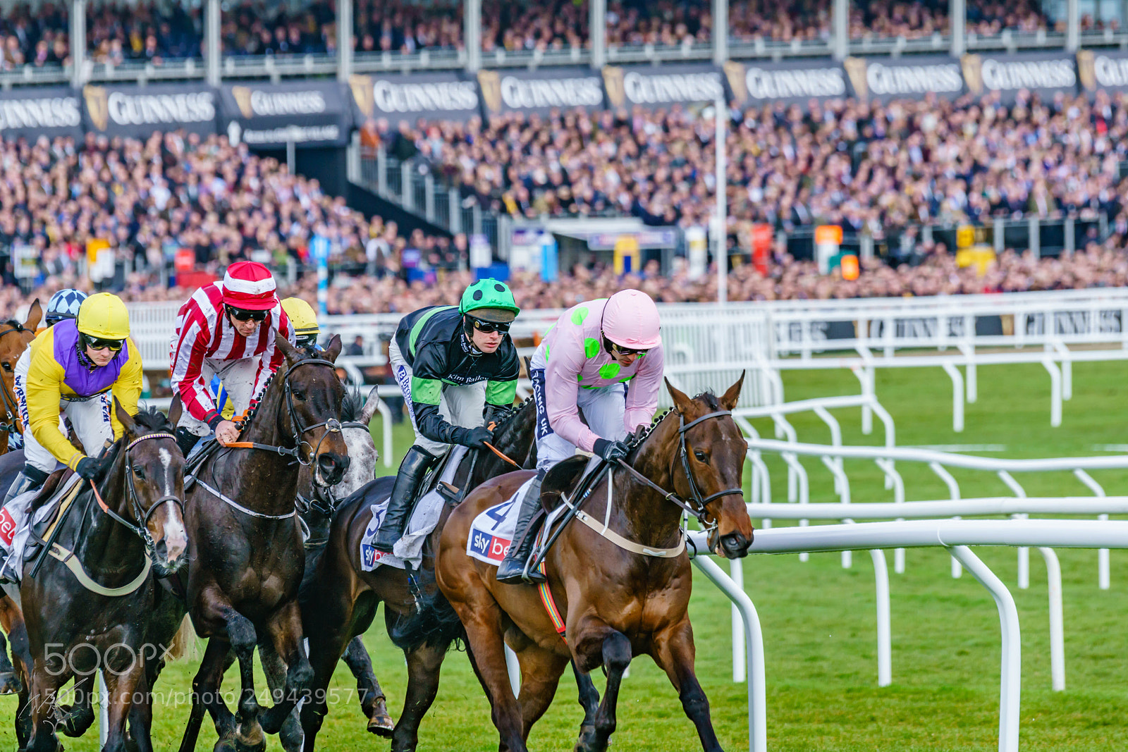 Sony a7R II sample photo. Cheltenham mar photography