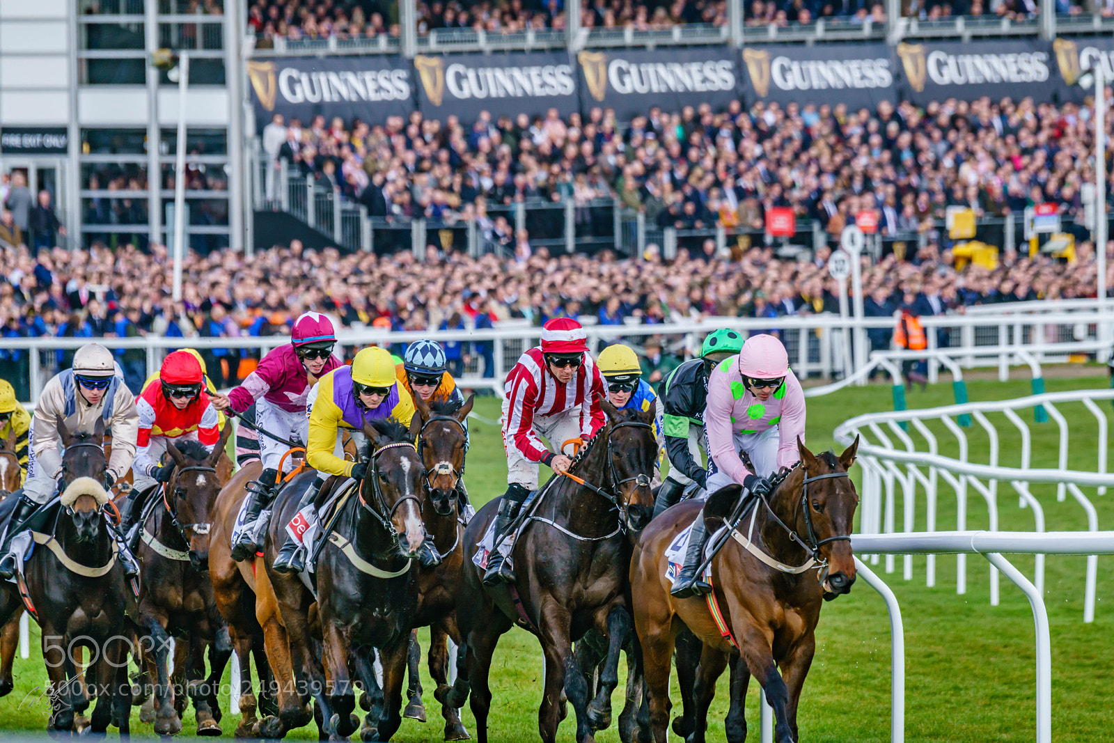 Sony a7R II sample photo. Cheltenham mar photography
