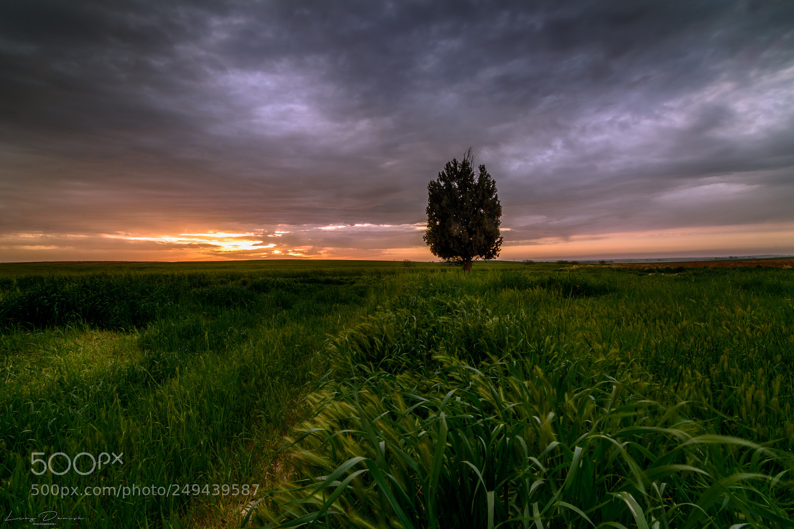 Nikon D7100 sample photo. Dramatic sunset at the photography