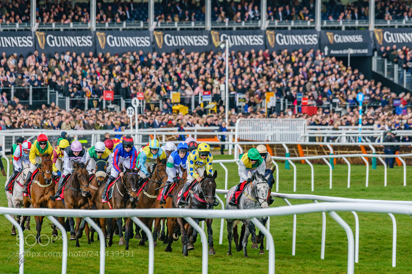 Sony a7R II sample photo. Cheltenham mar photography