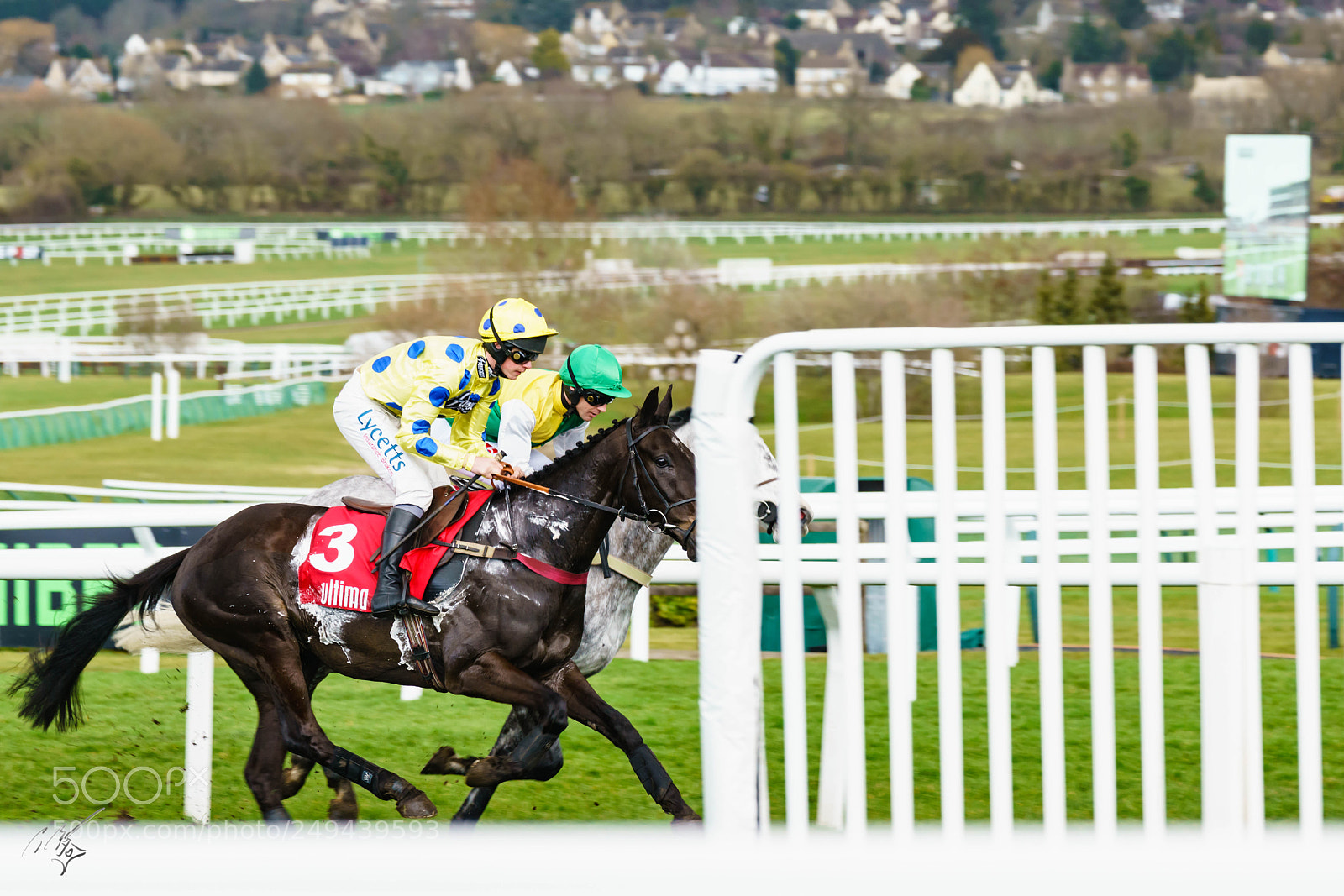 Sony a7R II sample photo. Cheltenham mar photography