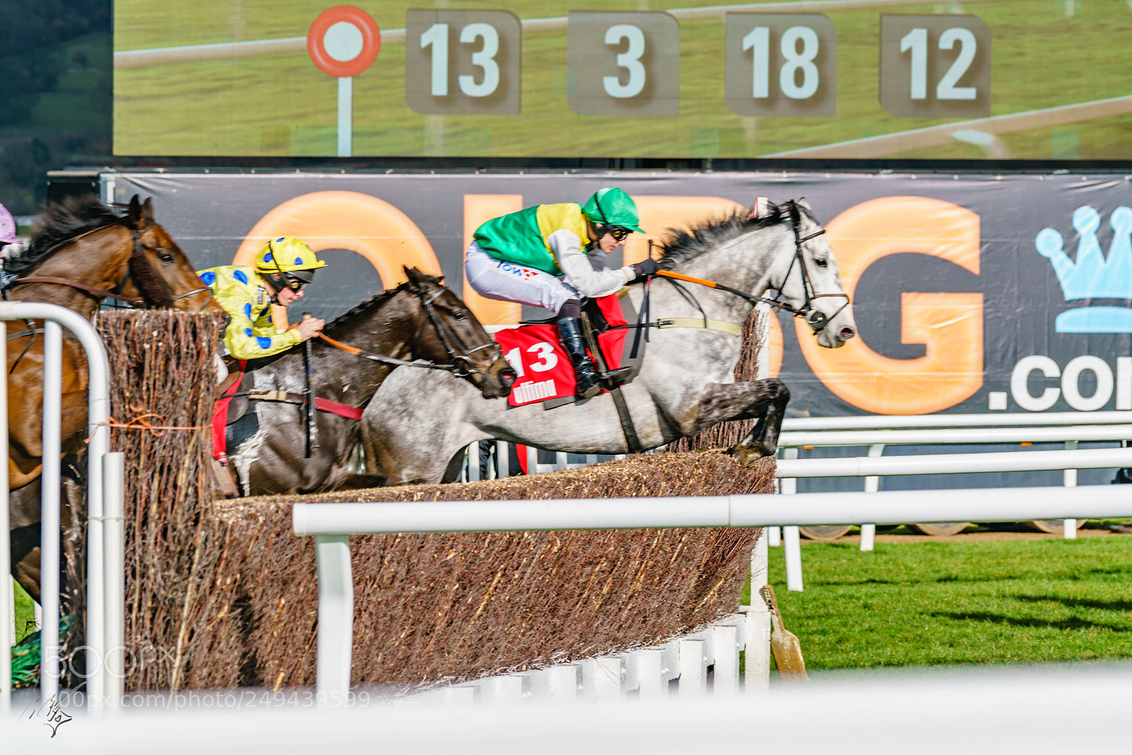Sony a7R II sample photo. Cheltenham mar photography