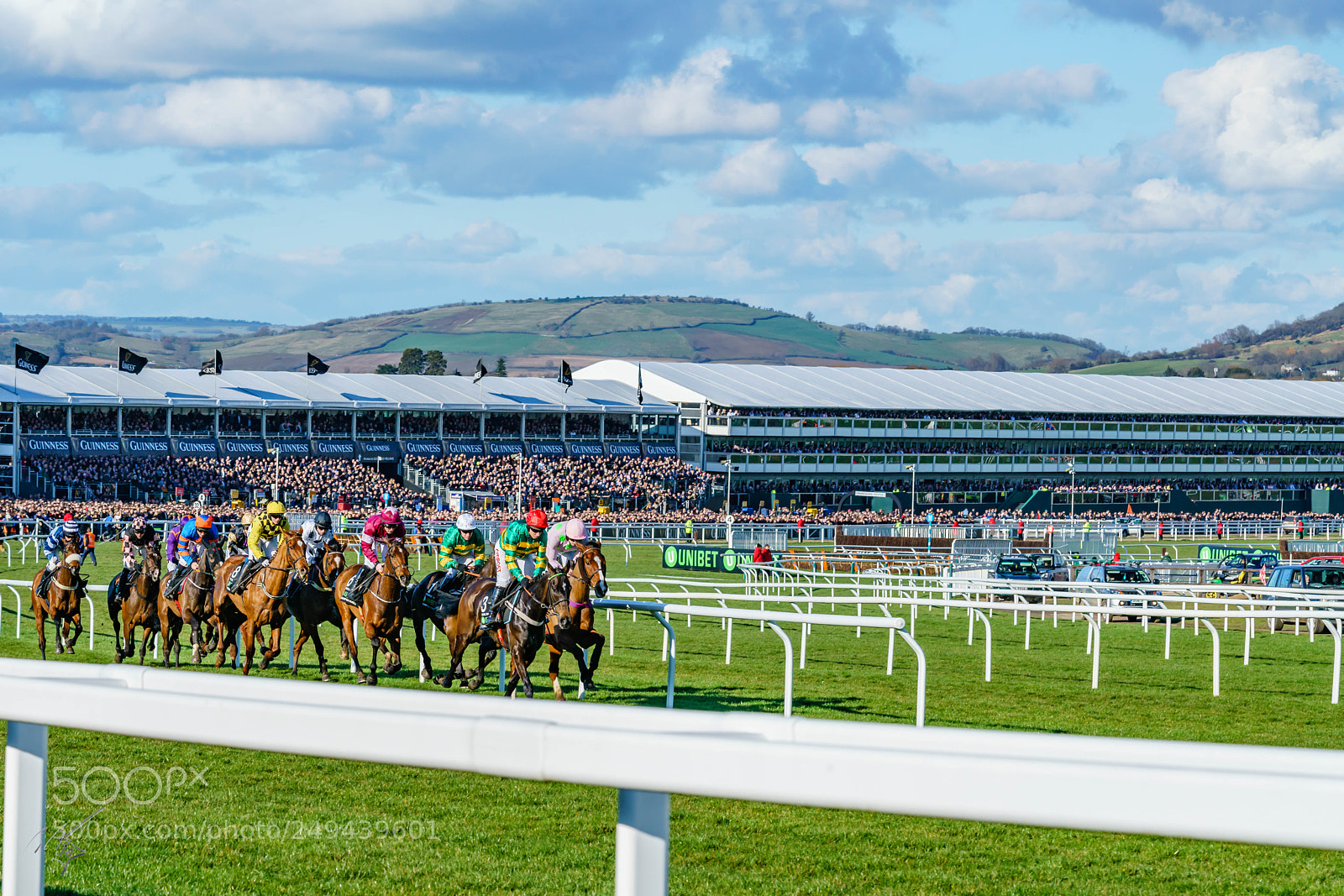 Sony a7R II sample photo. Cheltenham mar photography