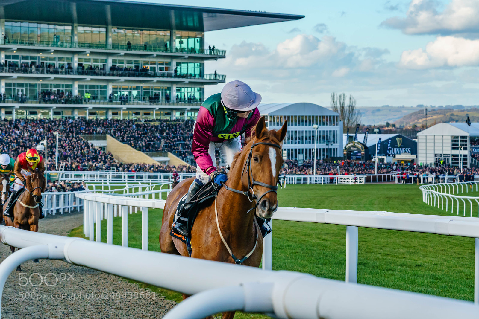 Sony a7R II sample photo. Cheltenham mar photography