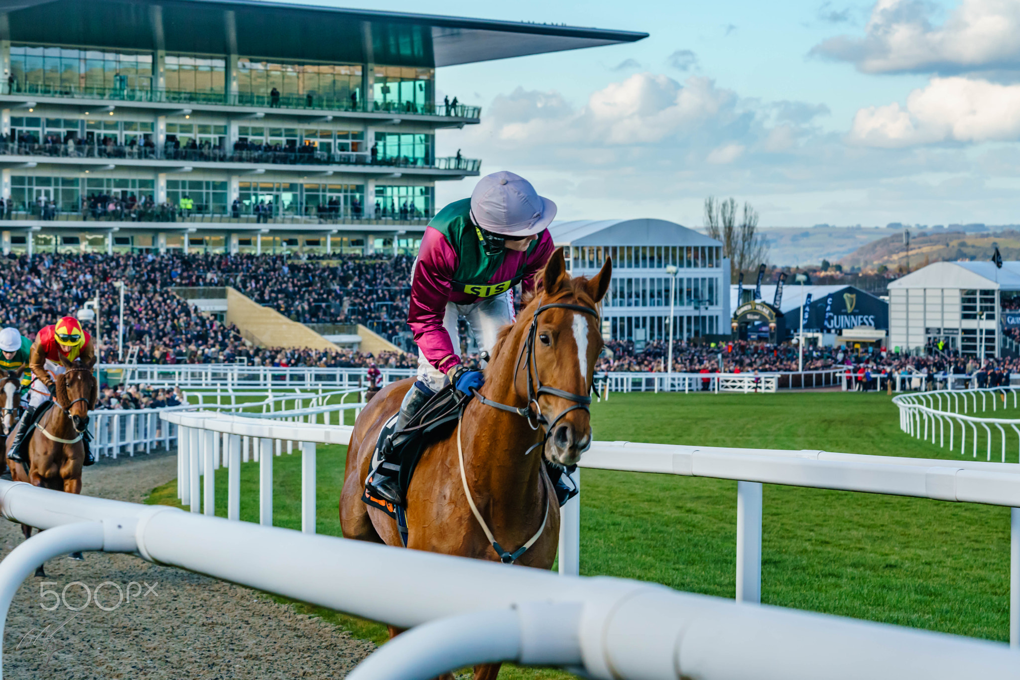 Cheltenham mar