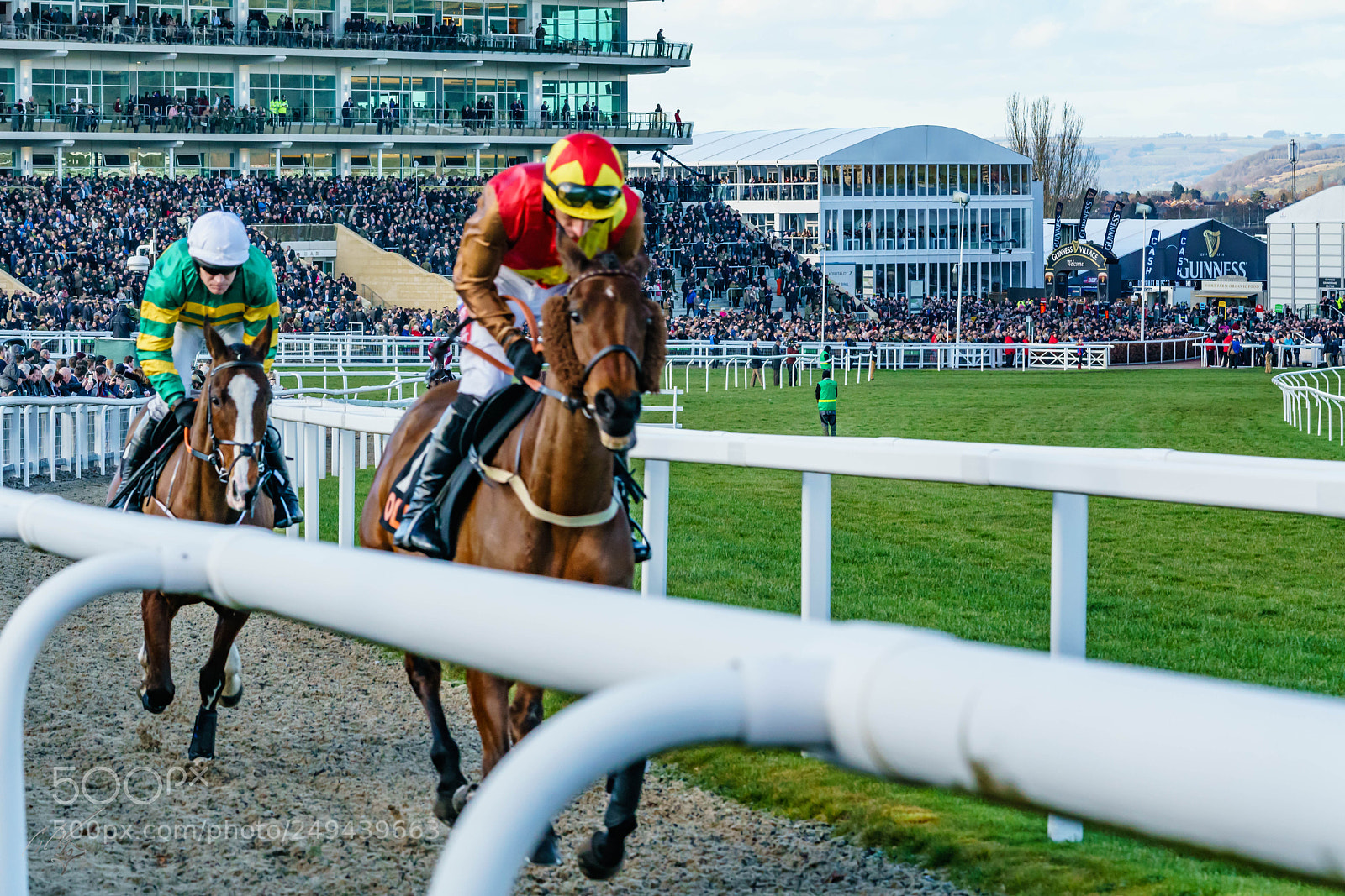 Sony a7R II sample photo. Cheltenham mar photography