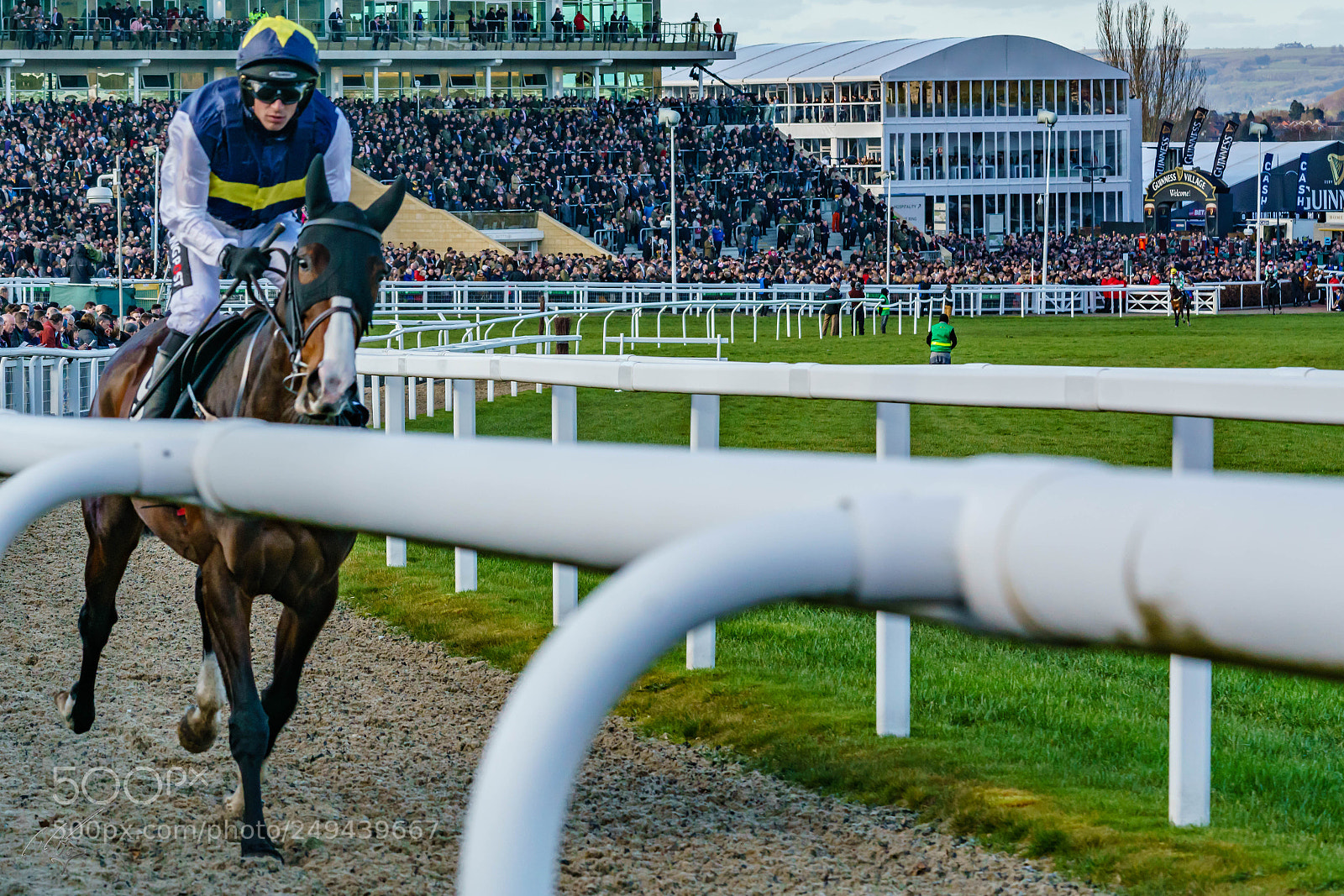 Sony a7R II sample photo. Cheltenham mar photography