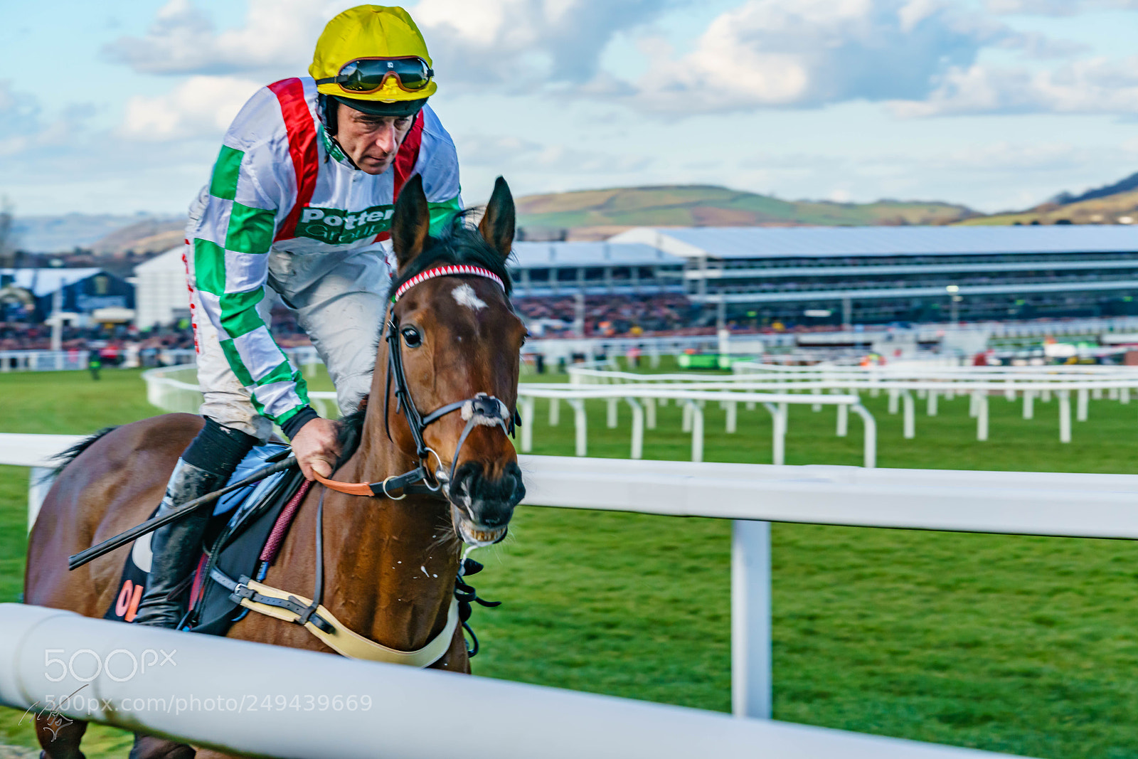 Sony a7R II sample photo. Cheltenham mar photography