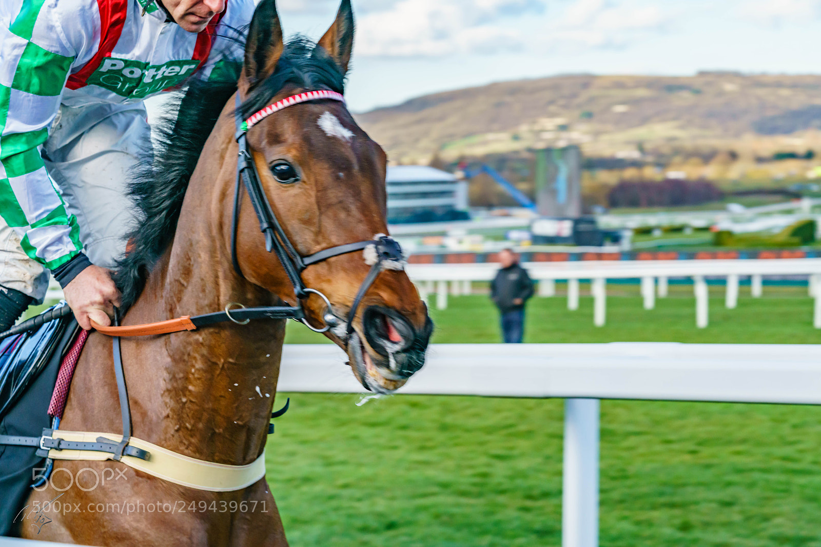 Sony a7R II sample photo. Cheltenham mar photography