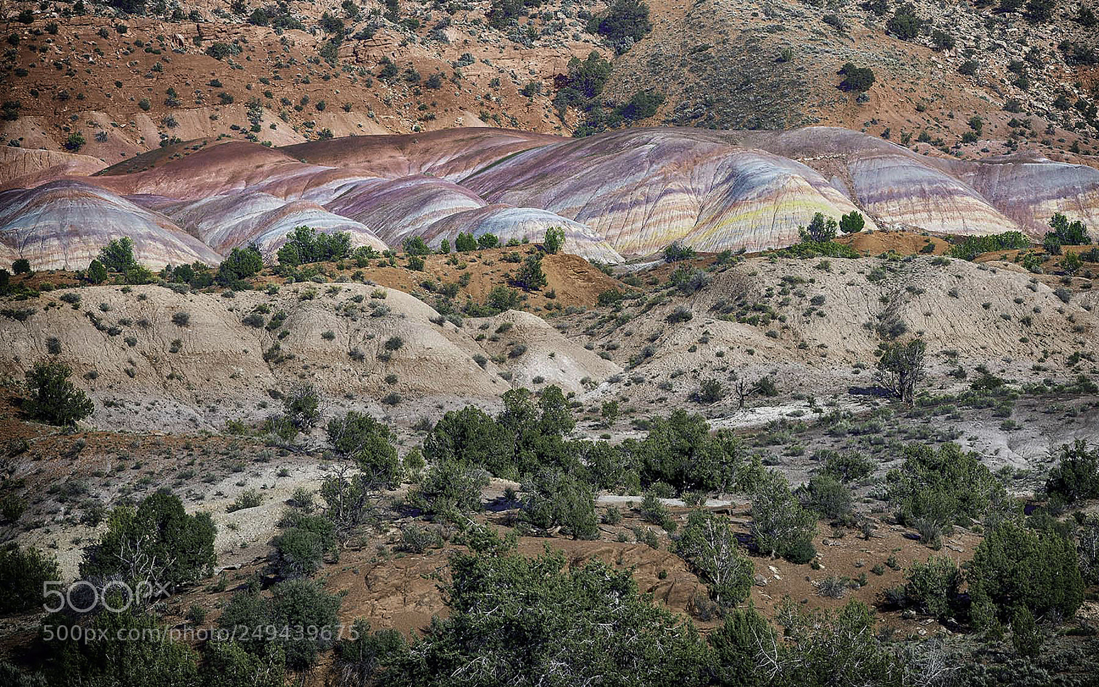 Sony a7R II sample photo. The badlands of house photography