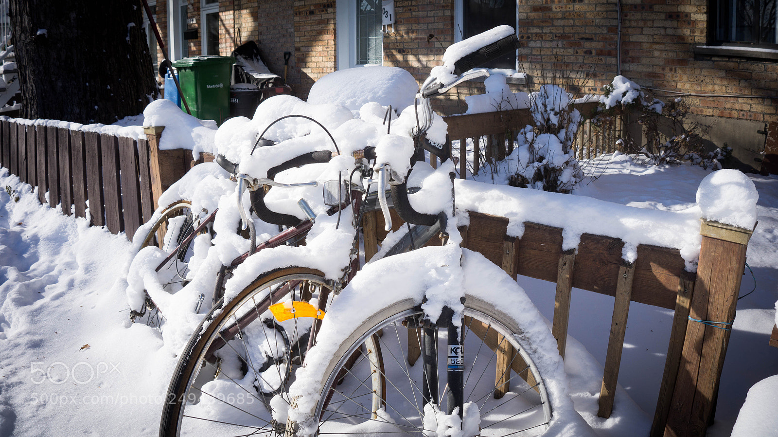 Sony Alpha a3500 sample photo. Montreal photography