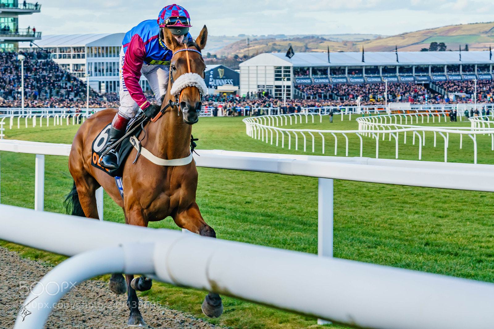 Sony a7R II sample photo. Cheltenham mar photography