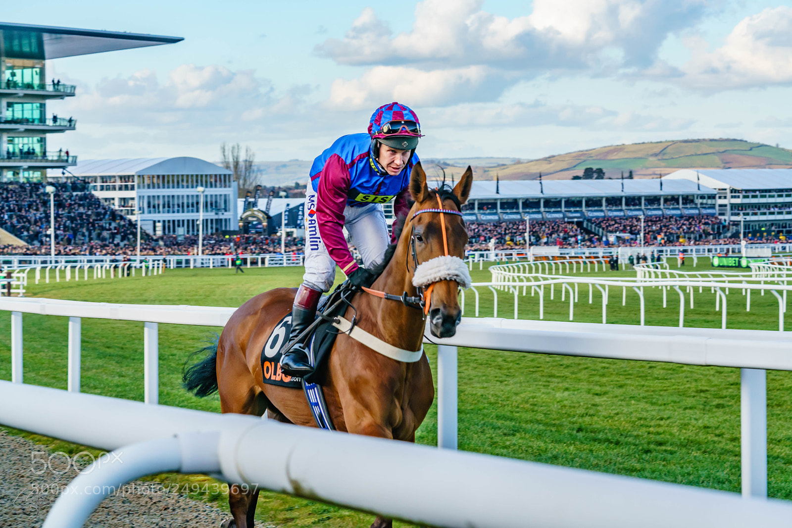 Sony a7R II sample photo. Cheltenham mar photography