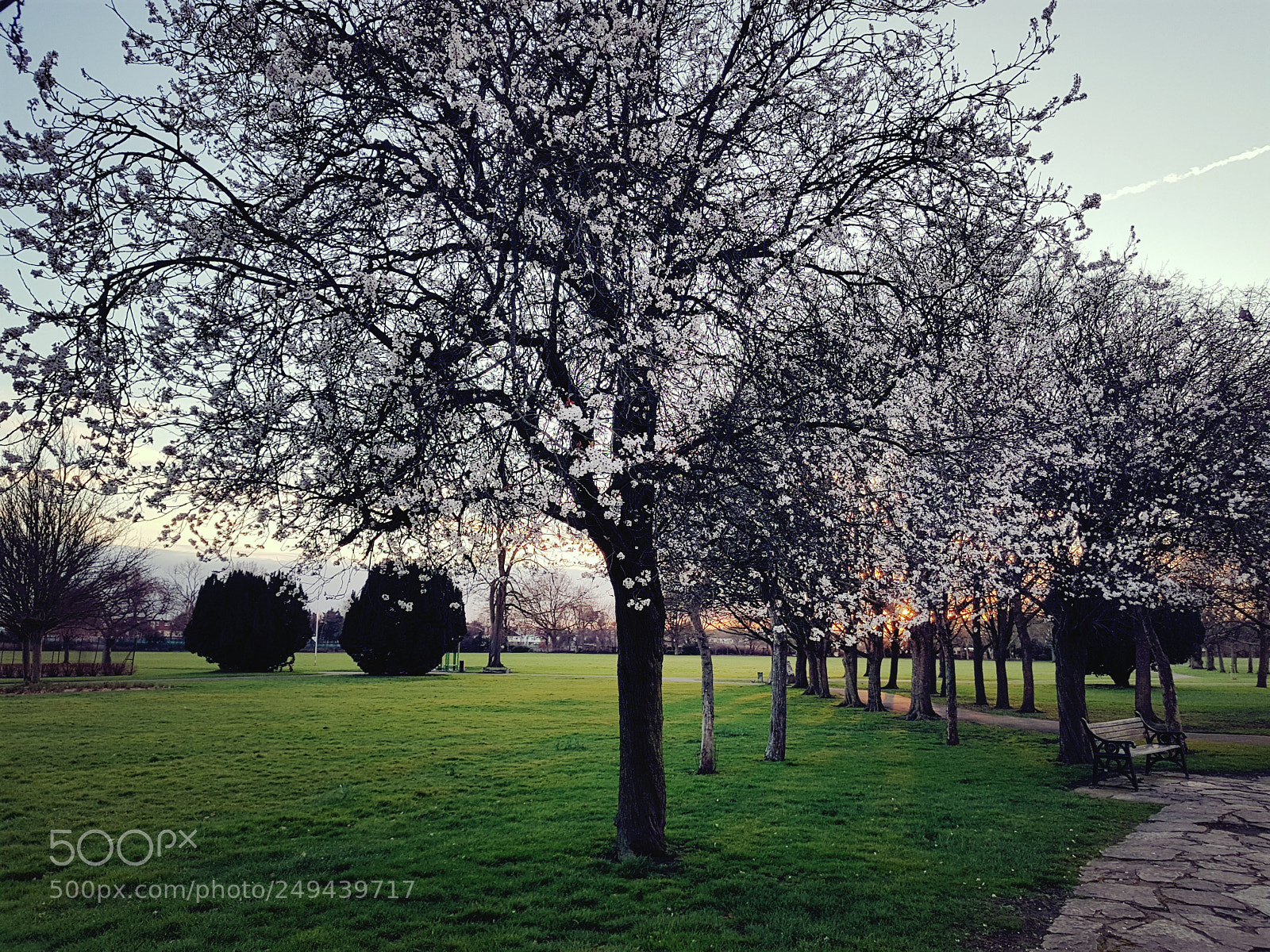 Samsung Galaxy S7 sample photo. Spring... maybe photography