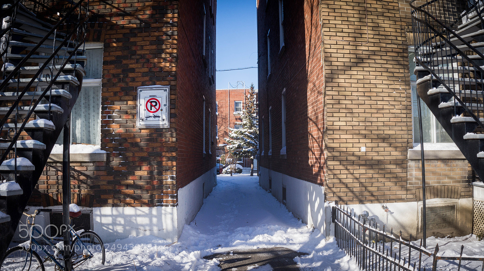 Sony Alpha a3500 sample photo. Montreal photography