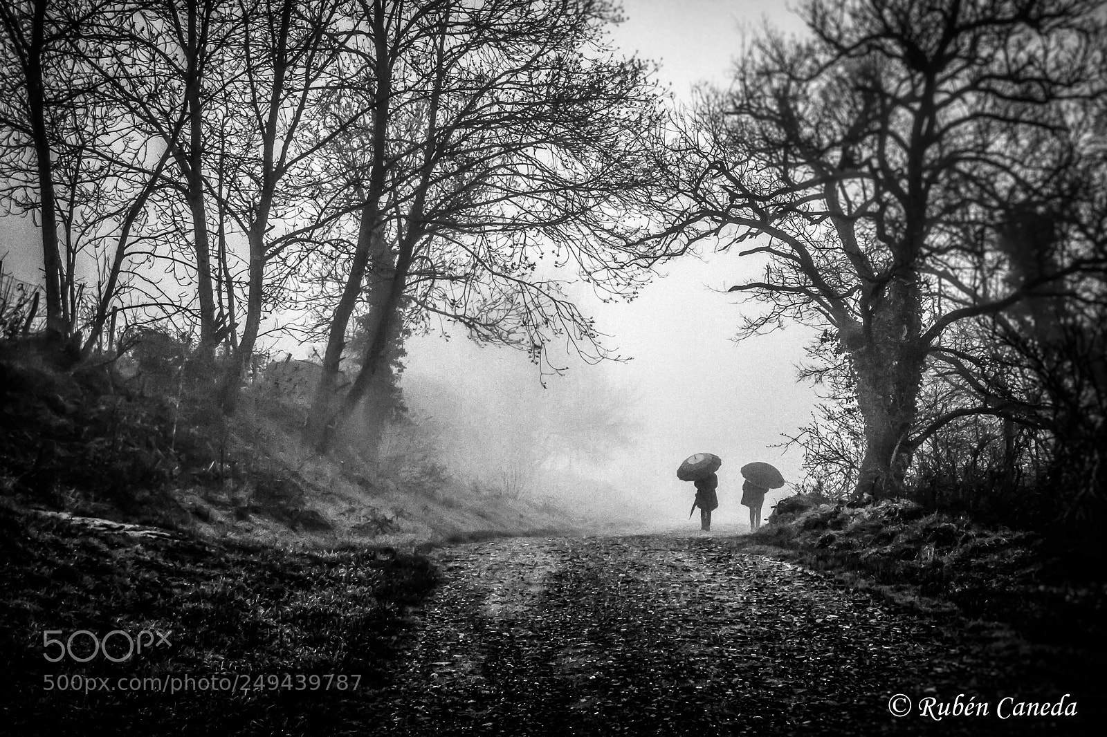 Canon EOS 7D sample photo. Le brouillard photography