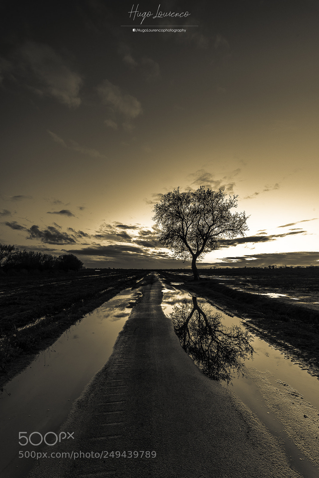 Nikon D610 sample photo. Road to ribatejo photography
