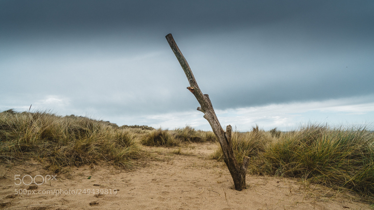 Sony a7R II sample photo. Holme dunes beach photography