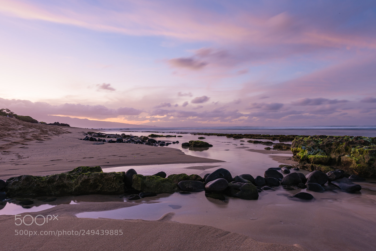 Nikon D810 sample photo. Purple sunset photography