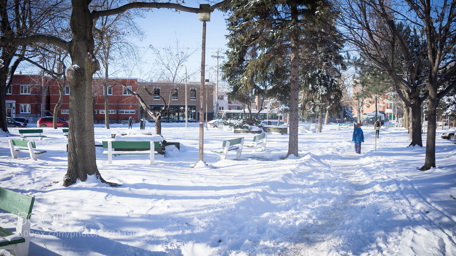 Sony Alpha a3500 sample photo. Montreal photography