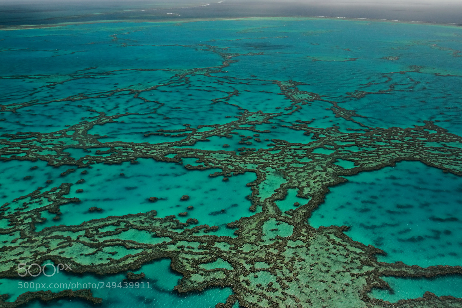 Canon EOS 7D + Canon EF 17-40mm F4L USM sample photo. Great barrier reef photography