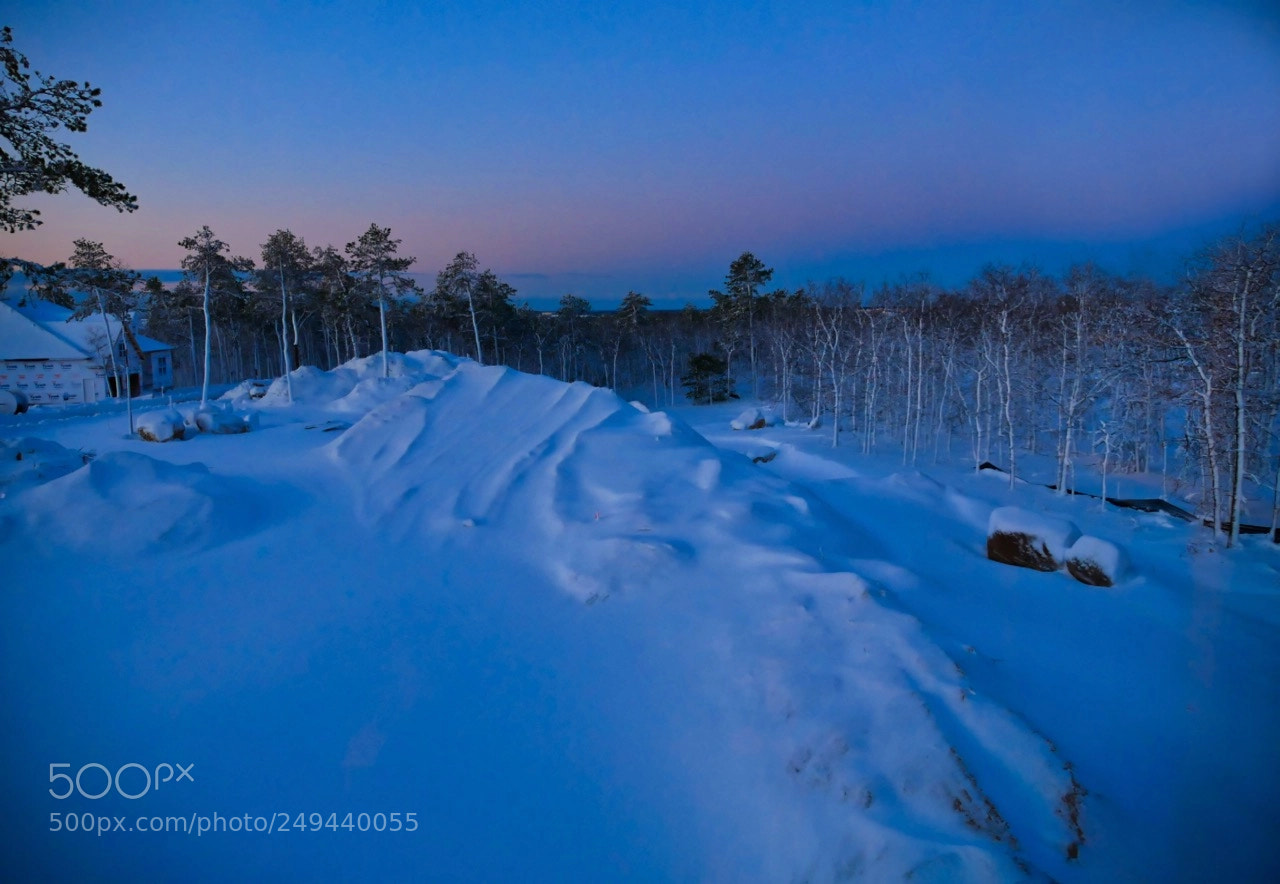 Panasonic Lumix DMC-G85 (Lumix DMC-G80) sample photo. Winter dawn photography